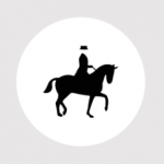 Grafika Koń - Jeździec