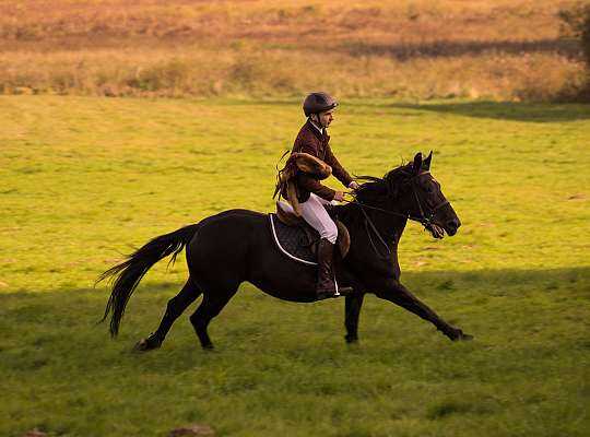 14-16 października 2016 r Hubertus w Runowie