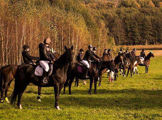 14-16 października 2016 r Hubertus w Runowie
