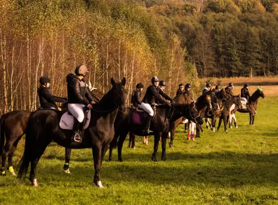 14-16 października 2016 r Hubertus w Runowie