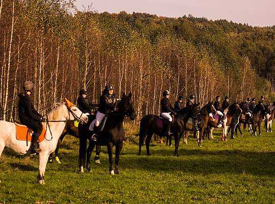 14-16 października 2016 r Hubertus w Runowie