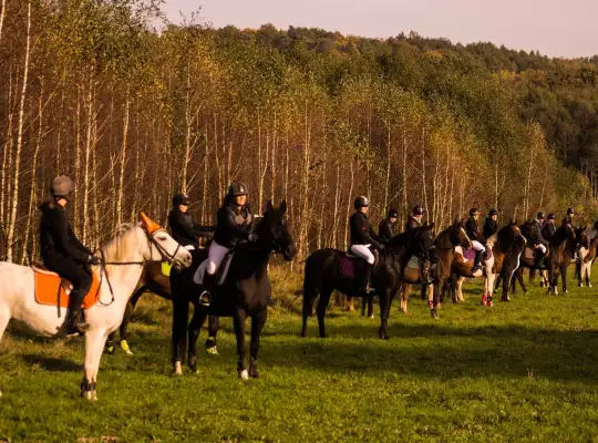 14-16 października 2016 r Hubertus w Runowie