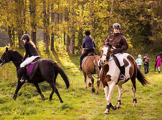 14-16 października 2016 r Hubertus w Runowie