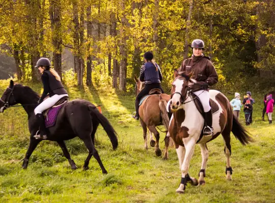 14-16 października 2016 r Hubertus w Runowie