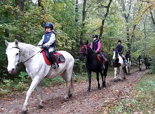 Święto Hubertusa 2017