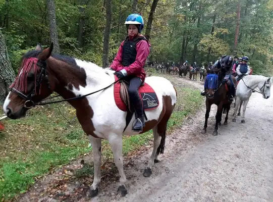 Święto Hubertusa 2017