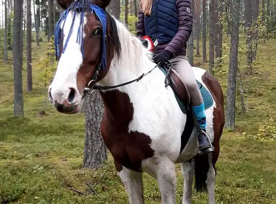 Święto Hubertusa 2017