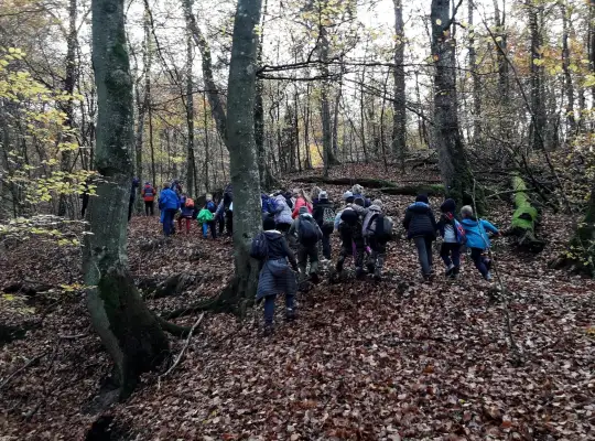 Runowo na Maxa