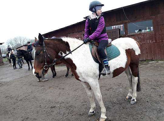 Świąteczny Weekend w Siodle
