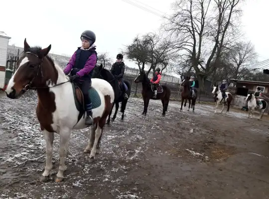 Świąteczny Weekend w Siodle