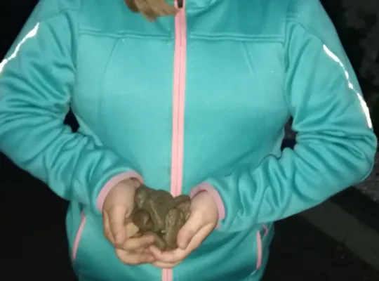 Majówka w Runowie