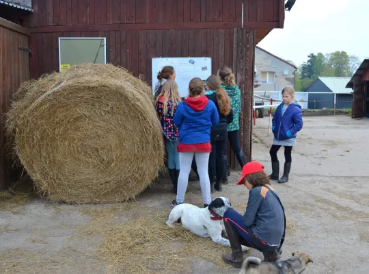 Majówka w Runowie
