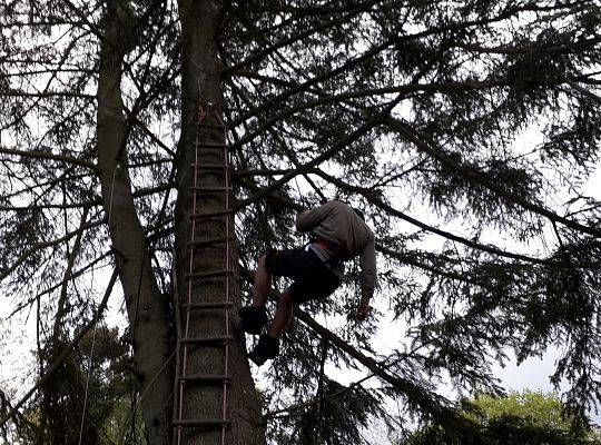 Nowa atrakcja Tree Climbing w Runowie