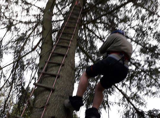 Nowa atrakcja Tree Climbing w Runowie