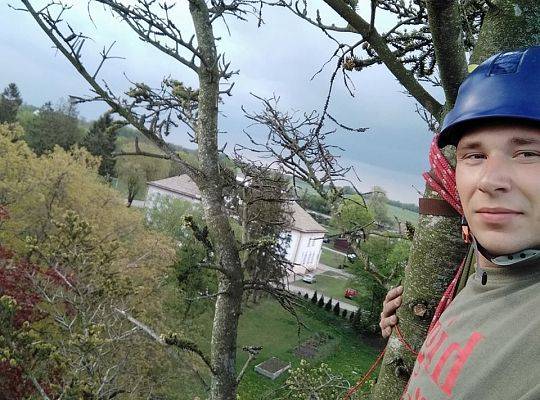Nowa atrakcja Tree Climbing w Runowie