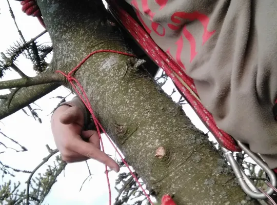 Nowa atrakcja Tree Climbing w Runowie
