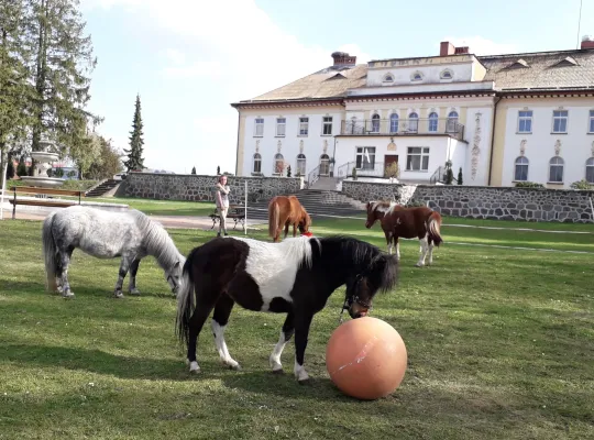 Wiosna pełna biwakowych atrakcji