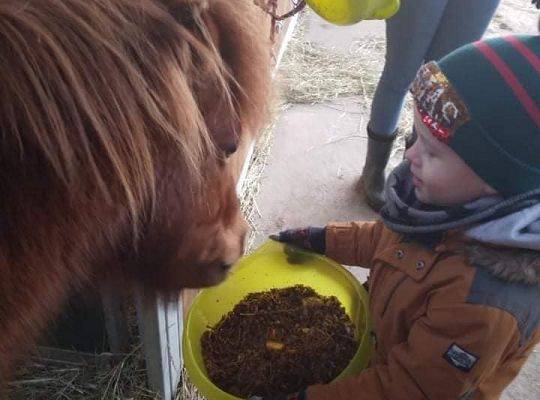 Zajęcia jeździeckie dla najmłodszych dzieci - Potęga Przedszkolaka