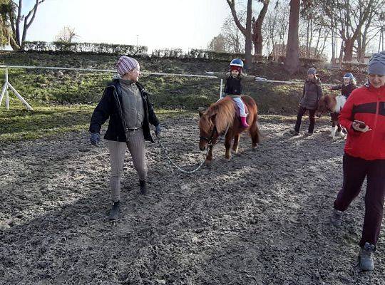 Zajęcia jeździeckie dla najmłodszych dzieci - Potęga Przedszkolaka