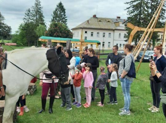 Zajęcia jeździeckie dla najmłodszych dzieci - Potęga Przedszkolaka