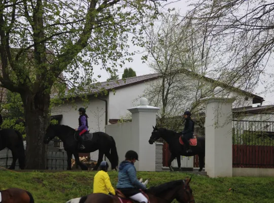 Egzaminy na odznaki Jeździeckie
