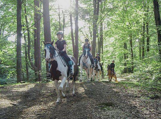 Czerwcówka czyli długi weekend w Runowie