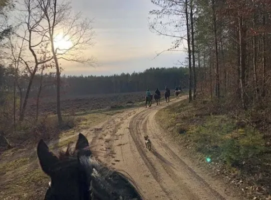 Czerwcówka czyli długi weekend w Runowie