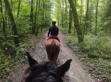 Discover the Magic of Horse Riding at Palace Runowo Stable