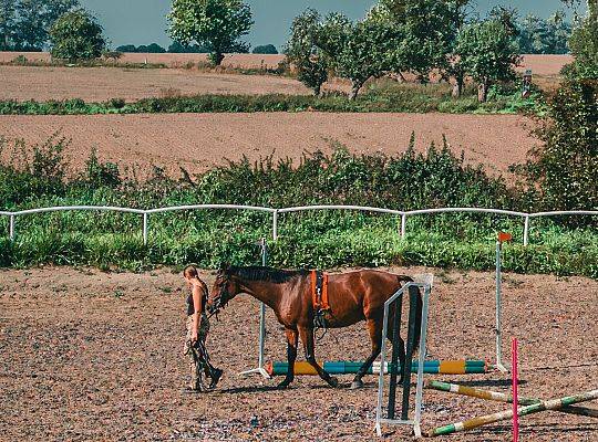 Discover the Magic of Horse Riding at Palace Runowo Stable