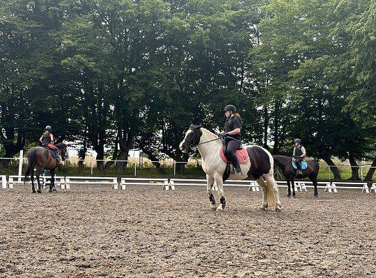 Discover the Magic of Horse Riding at Palace Runowo Stable