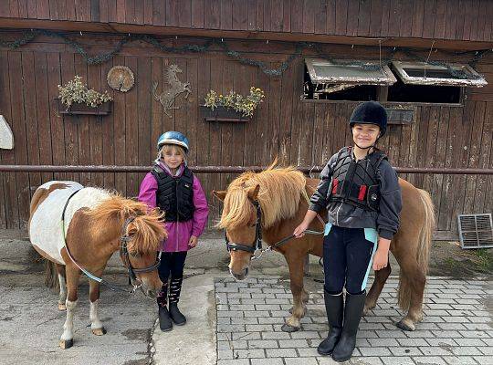 Discover the Magic of Horse Riding at Palace Runowo Stable