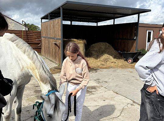 Discover the Magic of Horse Riding at Palace Runowo Stable