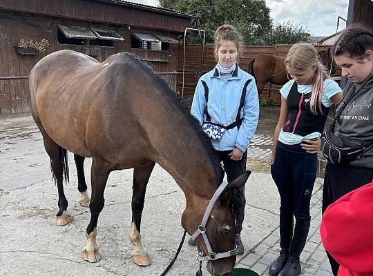 Discover the Magic of Horse Riding at Palace Runowo Stable