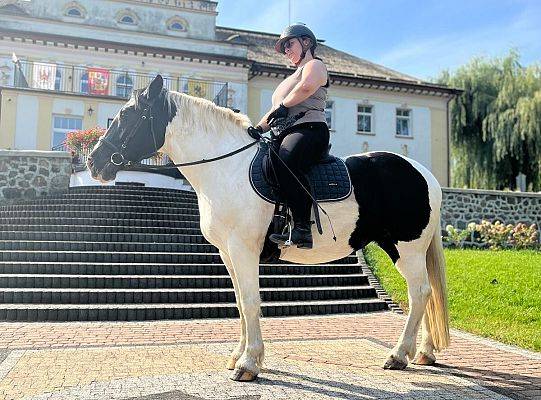 Discover the Magic of Horse Riding at Palace Runowo Stable