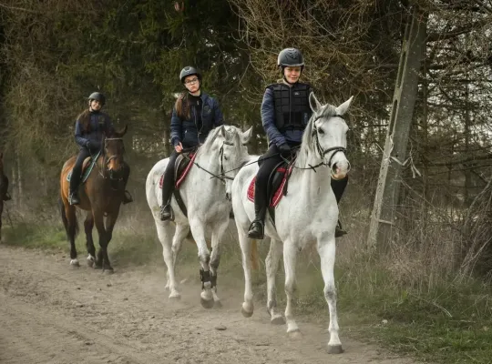 rajd kobiet obóz konny w siodle