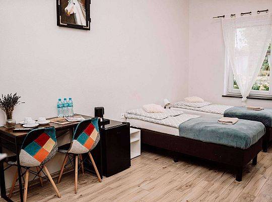 Wakacje w siodle – dlaczego Twoje dziecko pokocha Runowo?