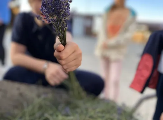 Wakacje w rytmie natury – Runowo i Pomorze, które zaskakuje