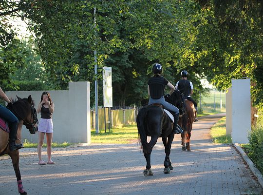Potęgowo – trasy konne i szlaki konne Pomorskiego. Runowo jako lider turystyki konnej