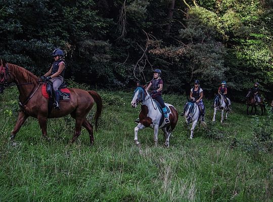 Potęgowo – trasy konne i szlaki konne Pomorskiego. Runowo jako lider turystyki konnej