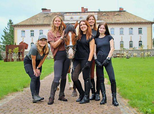 Dlaczego koń leczy lepiej niż coaching?