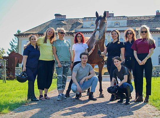 Dlaczego koń leczy lepiej niż coaching?