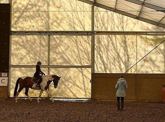 Roos Dyson – holenderska trenerka, która zmienia sposób myślenia o dosiadzie