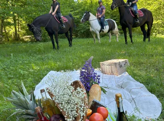 piknik na trawie