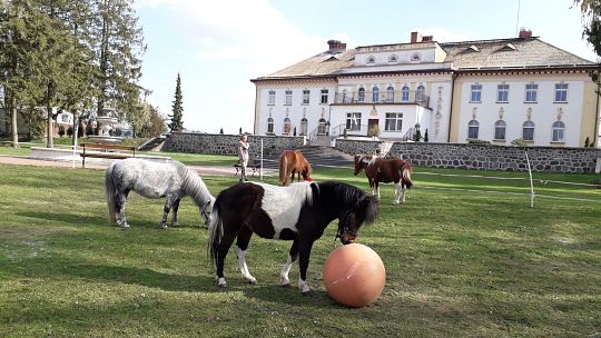 Wiosna pełna biwakowych atrakcji