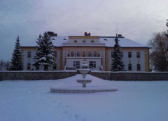 Pałac pod Bocianim Gniazdem zimą grafika