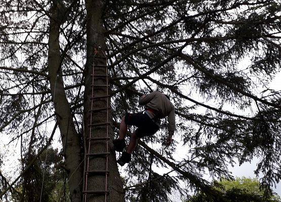 Grafika 7: Nowa atrakcja Tree Climbing w Runowie